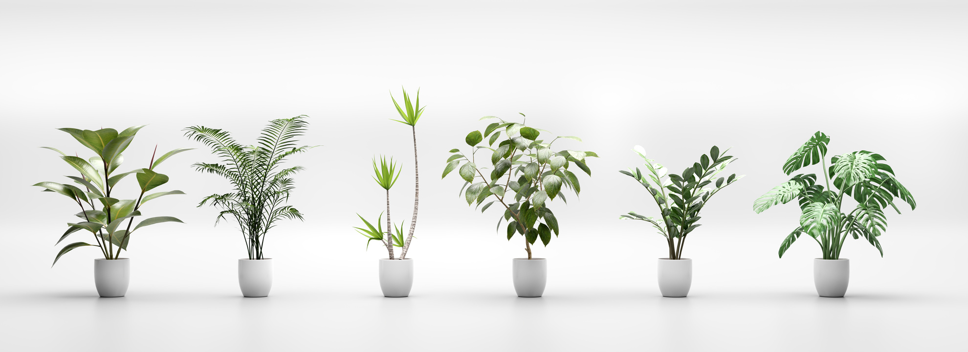 Set of Tropical Green Plants in Pots. Home Decoration Assets